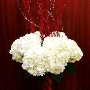 Meet your Posher, Gracia